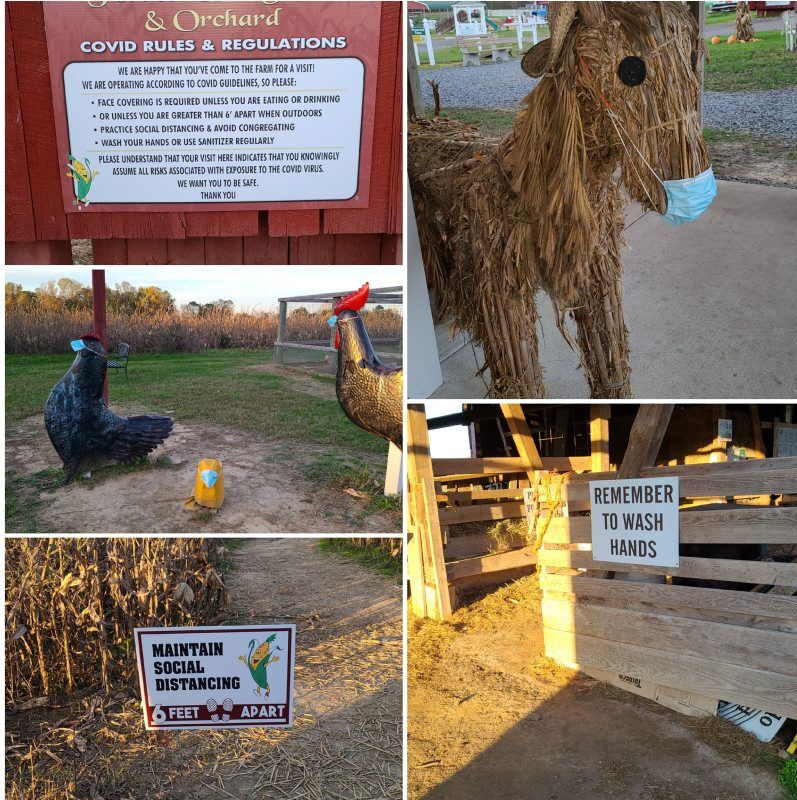 B-agritourism-3.jpg